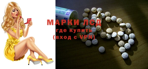 стаф Магадан
