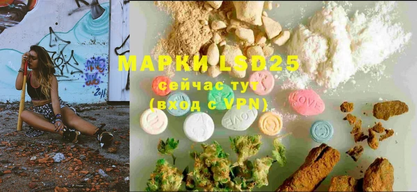 ECSTASY Магас