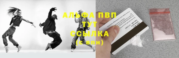 стаф Магадан