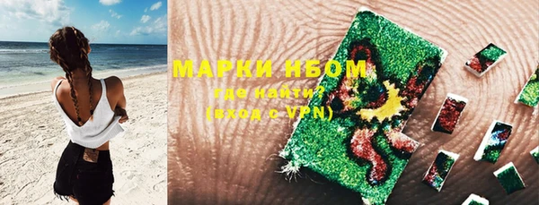 ECSTASY Магас