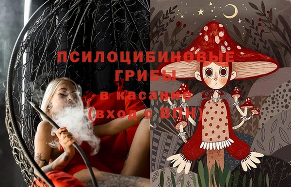 ECSTASY Магас