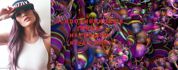 стаф Магадан