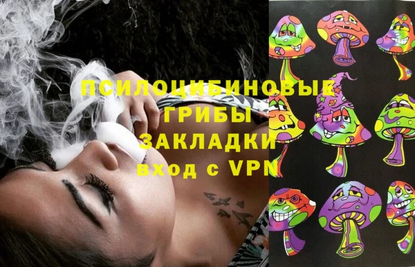 ECSTASY Магас
