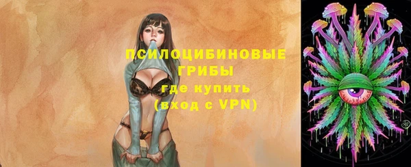 молекула духа Медногорск