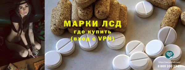 стаф Магадан