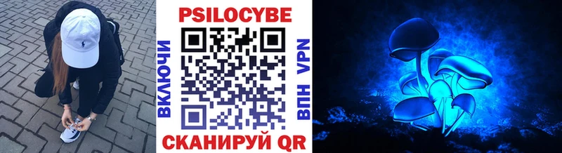 OMG как зайти  купить наркотики сайты  Нижние Серги  Псилоцибиновые грибы MAGIC MUSHROOMS 